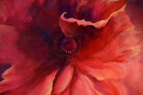 Detail of Poppy