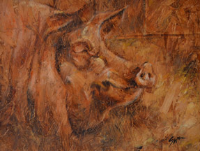 Pig