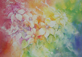 Rainbow Clematis